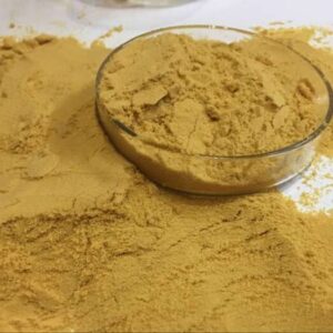 Polyferric sulfate 聚合硫酸铁