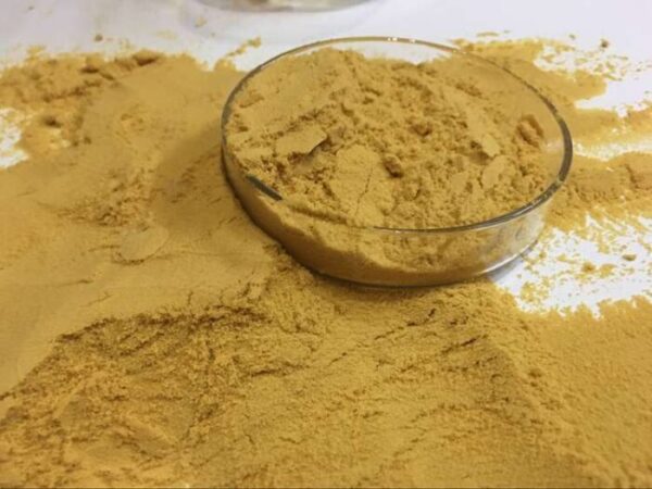 Polyferric sulfate 聚合硫酸铁